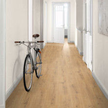 Ламинат EGGER Classic Aqua 33 Дуб Предайа медовый | EL2009.1801563