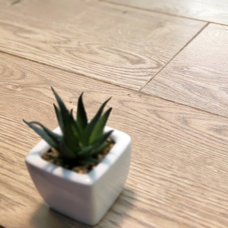 Ламінат Vitality Дуб Елегантний | 60542 Ламінат Vitality Дуб Елегантний | 60542