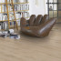 Ламінат Parador Basic 600 V4 Дуб авант браш 1х | 1593849