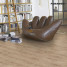 Ламінат Parador Basic 600 V4 Дуб пісочний 1х | 1593851