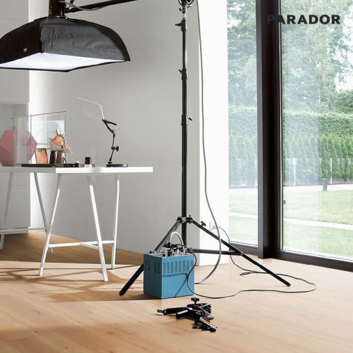 Ламінат Parador Classic 1050 V Бук 1х | 1475605
