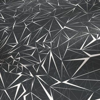 Ламінат Parador Edition 1 Zaha Hadid Krystal | 1371374 Ламінат Parador Edition 1 Zaha Hadid Krystal | 1371374