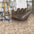 Ламинат Parador Edition 1 Дуб Ornamental | 1518385