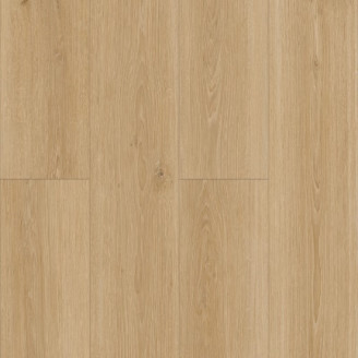 Ламінат Parador TrendTime 8 Дуб Студіолайн натуральний 1х | 1601097 Ламінат Parador TrendTime 8 Дуб Студіолайн натуральний 1х | 1601097