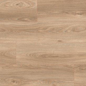 Ламінат Kaindl Дуб Robur | 37245 Ламінат Kaindl Дуб Robur | 37245