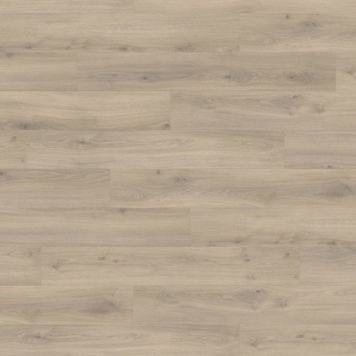 Ламінат HARO Oak Emilia Velvet Grey | 538695