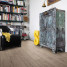 Ламінат HARO Oak Portland Grey | 533121