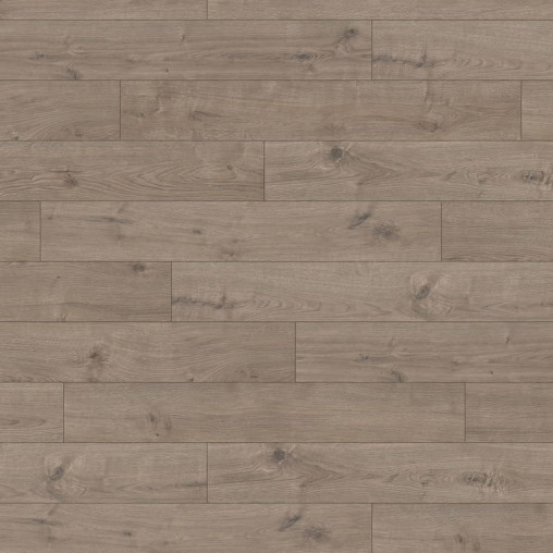 Ламінат HARO Oak Portland Grey | 533121