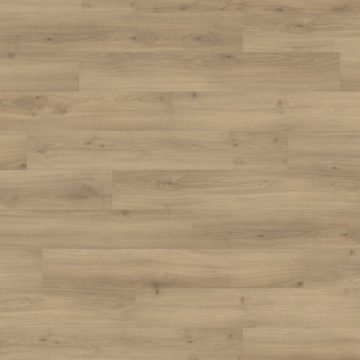 Ламінат HARO Oak Emilia Puro | 538691