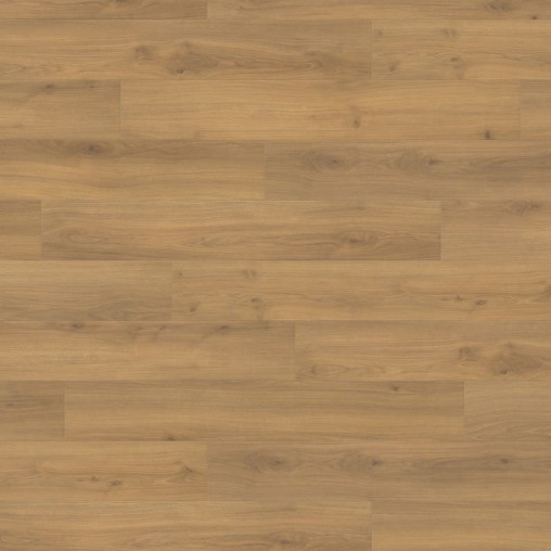 Ламінат HARO Oak Emilia Honey | 538692