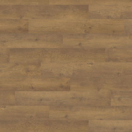 Ламінат HARO Oak Bergamo Nature | 538693