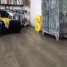 Ламінат HARO Oak Bergamo Carbon | 538694