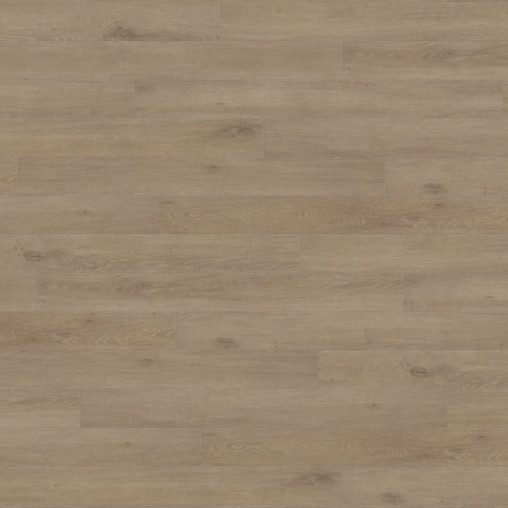 Ламінат HARO Oak Veneto Crema 538719