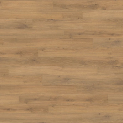 Ламінат HARO Oak Emilia Honey | 538720 Ламінат HARO Oak Emilia Honey | 538720