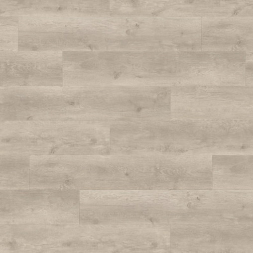 Ламінат HARO Oak Bergamo Silver Grey | 538748