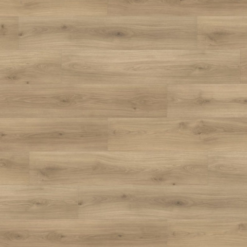 Ламінат HARO Oak Emilia Puro | 538750