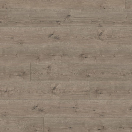 Ламінат HARO Oak Portland Grey | 533139