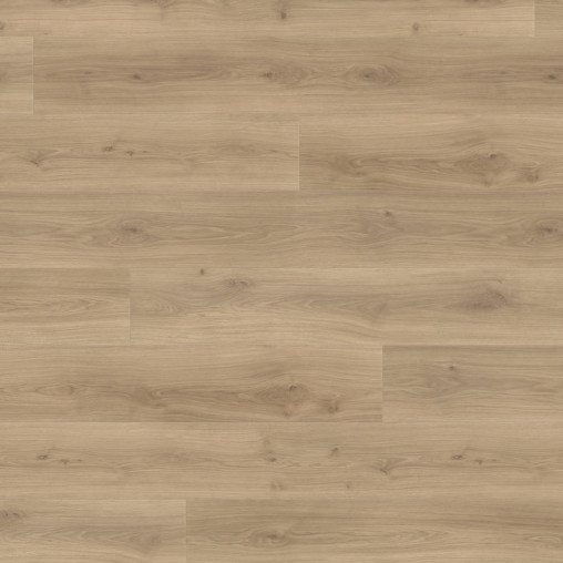Ламінат HARO Oak Emilia Puro | 538769