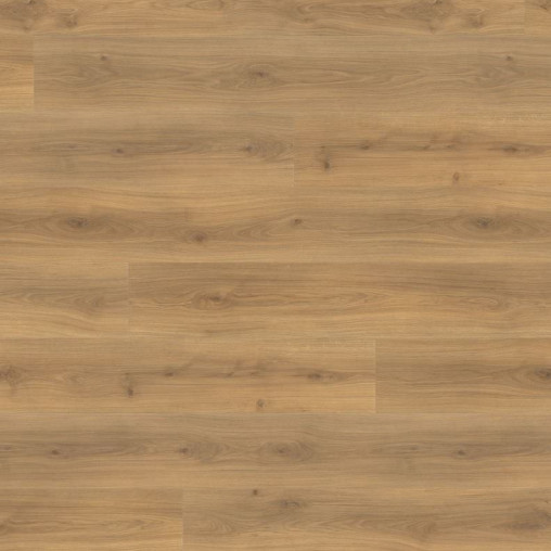Ламінат HARO Oak Emilia Honey | 538772