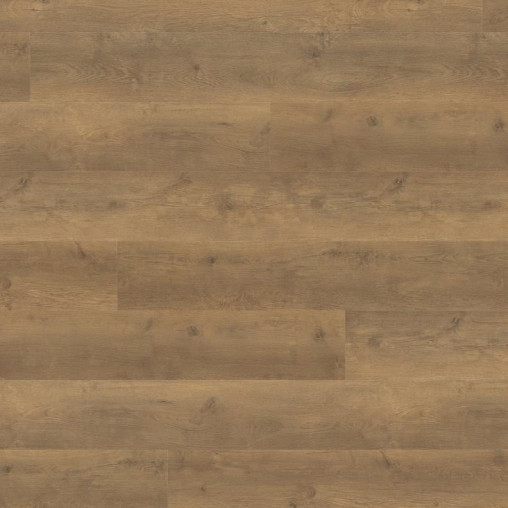 Ламінат HARO Oak Bergamo Nature | 538766