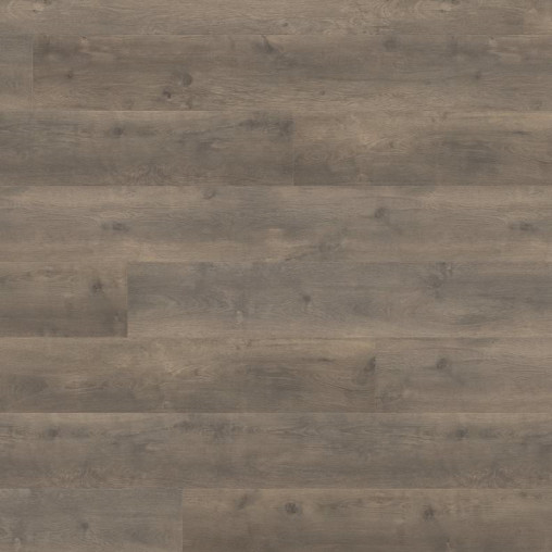 Ламінат HARO Oak Bergamo Carbon | 538767