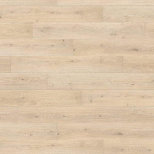 Ламінат HARO Oak Emilia Velvet White | 539147